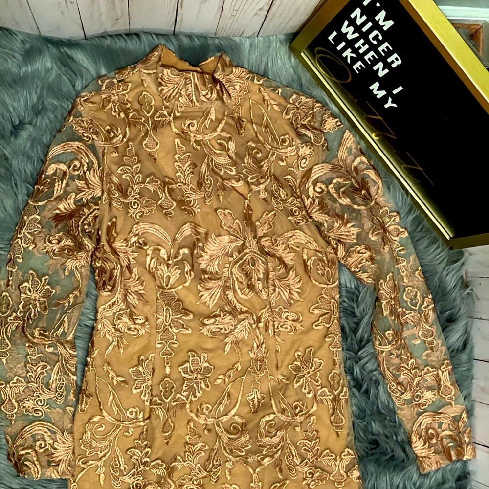 Lace Embroidered Party Dress